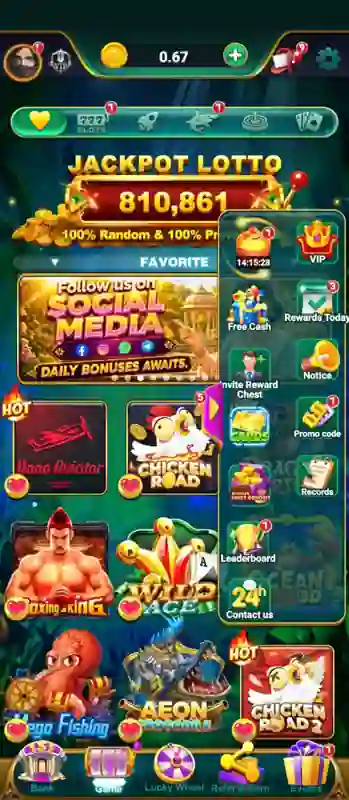 Rummy Ludo features guide explaining app modes and user options